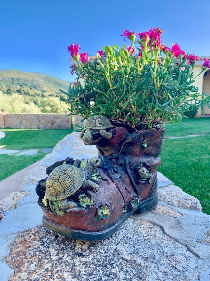 Agriturismo Muru Idda Budoni Bagian luar foto
